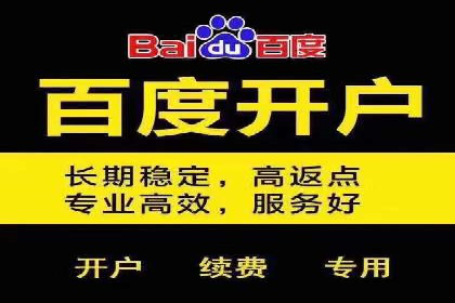行业领先的SEM策略：成功案例与经验分享